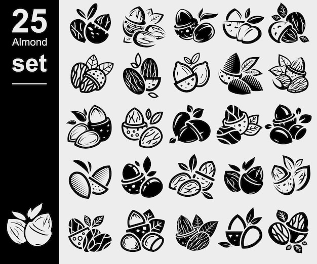Conjunto de almendras Ícono de la colección Vector de almendas