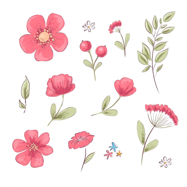 Conjunto de amapolas rojas y margaritas. Dibujo a mano. Ilustración vectorial