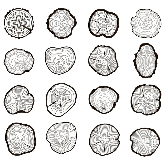 Vector conjunto de anillos de árbol con corte de sierra tronco con grietas y líneas negras textura de madera