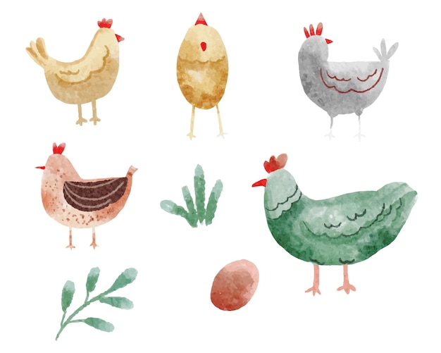 Vector conjunto de animales para acuarelas de pollo