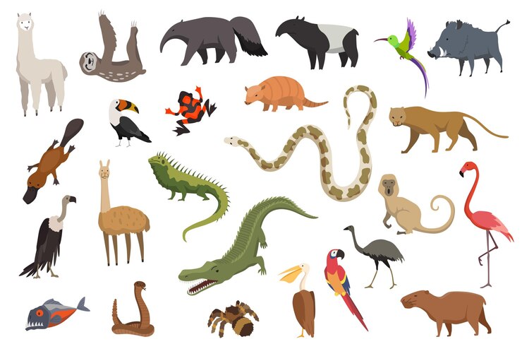 Vector conjunto de animales de américa del sur