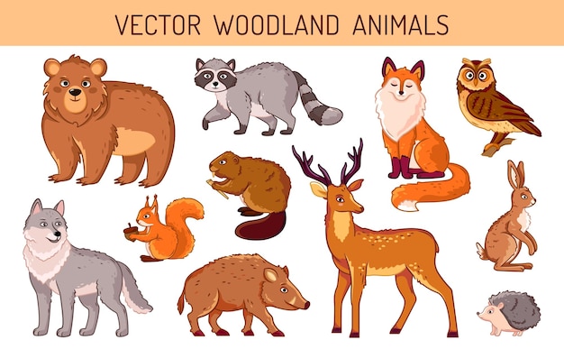 Vector un conjunto de animales del bosque en un fondo aislado animales brillantes y lindos en vector de estilo de dibujos animados