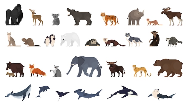Conjunto de animales. Colección de animales exóticos y salvajes.