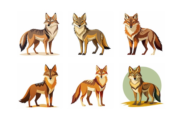 Conjunto de animales coyote fácil de editar listo para usar colorido archivo de ilustración vectorial
