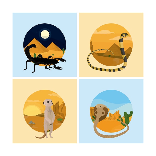 Vector conjunto de animales del desierto