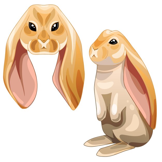Un conjunto de animales dibujados por dibujos animados. Raza de conejos English Lop Rabbit