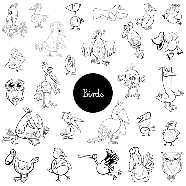 Conjunto de animales dibujos animados de aves