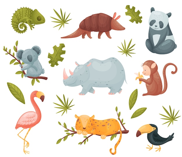 Vector conjunto de animales exóticos aislado en blanco