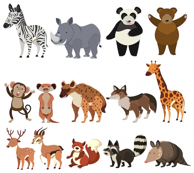 Vector un conjunto de animales en el fondo blanco