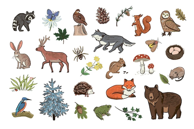 Conjunto de animales forestales dibujados a mano Ilustración vectorial aislada sobre fondo blanco