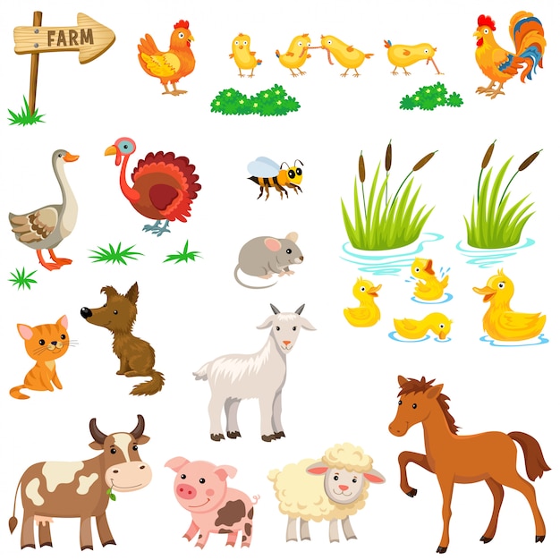 Conjunto de animales de granja.