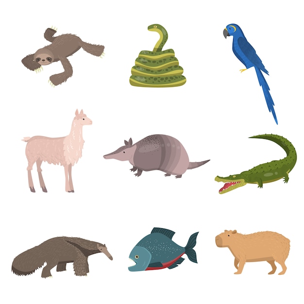 Conjunto de animales salvajes de América del Sur, loros y peces aislado sobre fondo blanco.