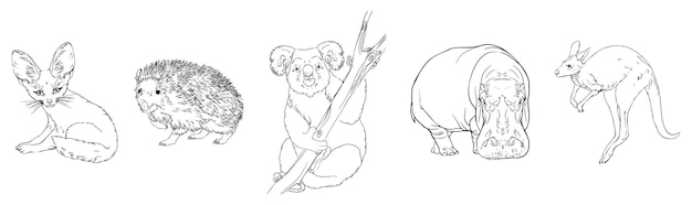 Conjunto de animales salvajes. erizo, koala, hipopótamo, canguro, fenek. vector dibujado a mano en blanco y negro