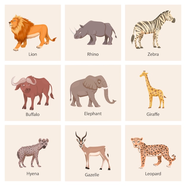 Conjunto de animales salvajes de la sabana africana león rinoceronte cebra búfalo jirafa flamenco leopardo gacela elefante hiena ilustración vectorial plana animales de áfrica concepto de safari de sabana