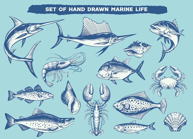 Conjunto de animales de vida marina dibujados a mano