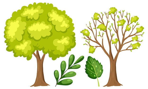 Vector conjunto, de, árbol, caricatura