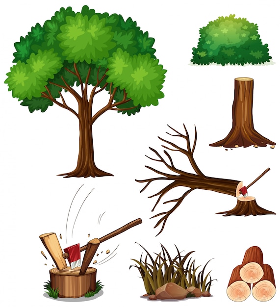 Un conjunto de árbol de corte