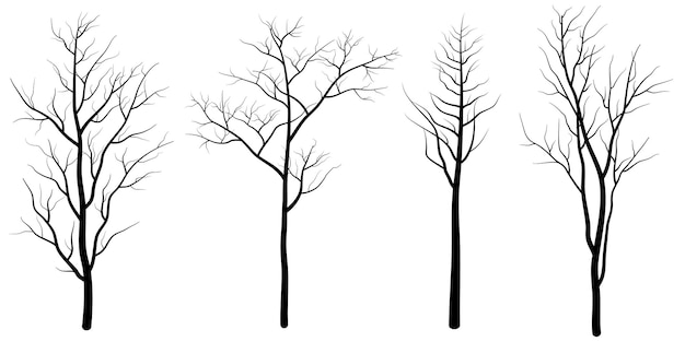 conjunto, de, árbol desnudo, silueta, árbol muerto, sin, hojas, aislado, blanco, plano de fondo