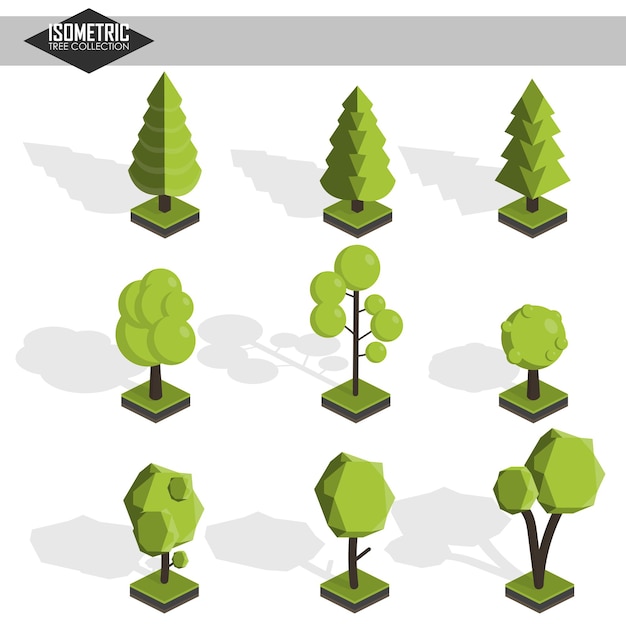 Conjunto de árbol de vector isométrico