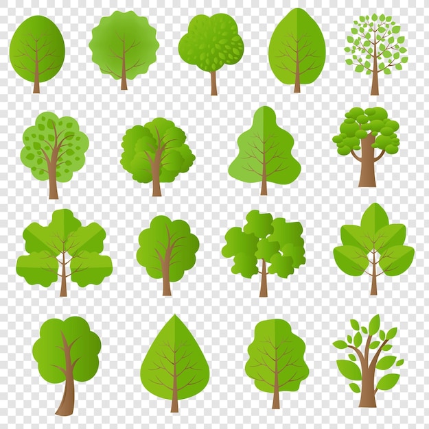 Conjunto de árbol verde aislado fondo transparente, ilustración vectorial