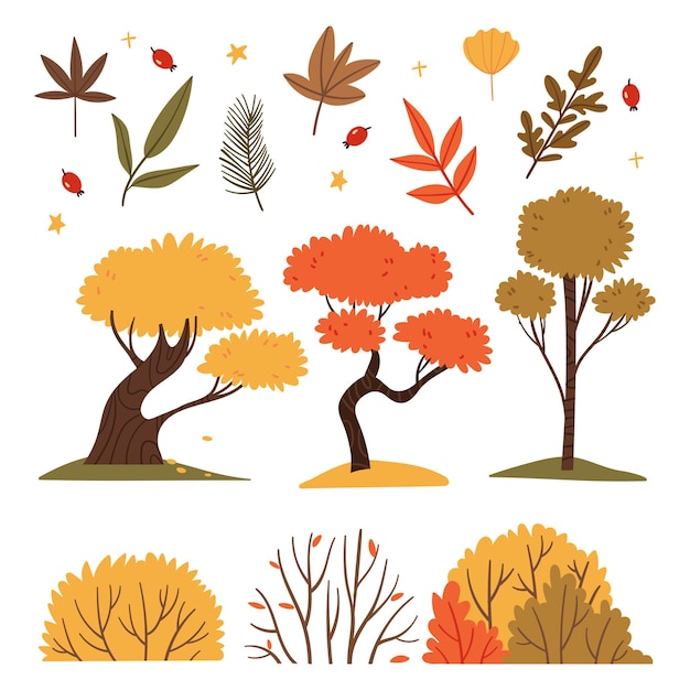 Conjunto de árboles y arbustos de otoño Ilustración de libro Bosque de otoño