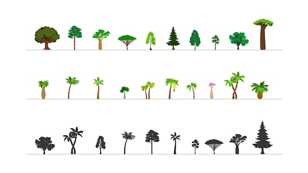 Conjunto de árboles de bosque verde