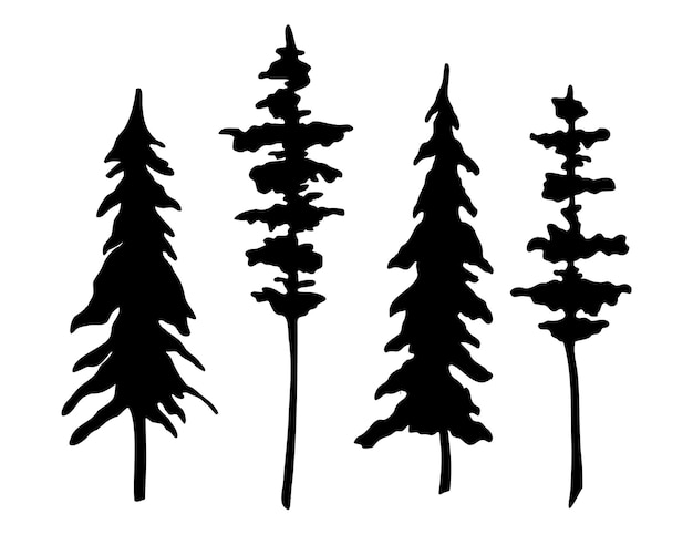 Conjunto de árboles coníferos silueta Ilustración vectorial con pinos y abetos Grabado de plantas forestales pintadas con tintas negras Grabado de parque de hoja perenne en fondo aislado para icono