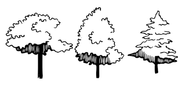 conjunto de árboles dibujo a mano vista frontal vector de dibujo de tinta arquitectónica