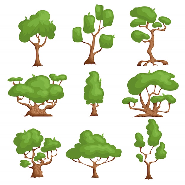 Conjunto de árboles de dibujos animados. plantas de diferentes tipos en estilo cómic.