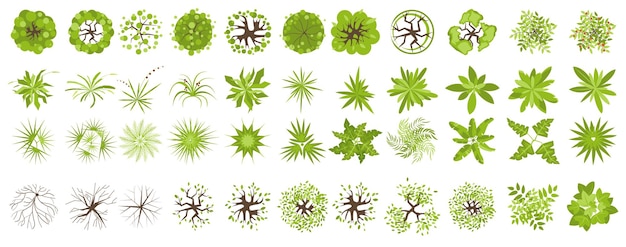 Vector conjunto de árboles y plantas vista superior para el diseño del paisaje conjunto de iconos hierba de follaje para el plan del mapa del proyecto