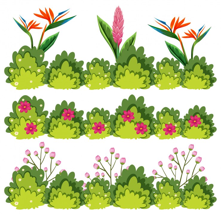 Vector un conjunto de arbusto de flores