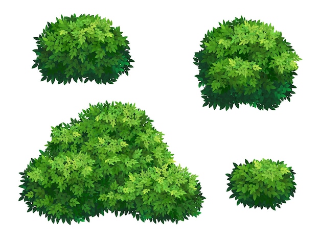 Conjunto de arbustos verdes y coronas de árboles de diferentes formas Arbusto de plantas ornamentales para decorar un parque, un jardín o una cerca verde Matorrales gruesos de arbustos Follaje para el diseño de tarjetas de primavera y verano