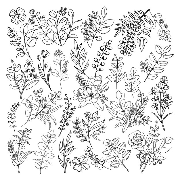 Conjunto de arte botánico minimalista con hojas de eucalipto y flores silvestres con elementos florales dibujados a mano