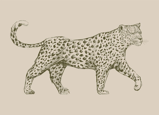 Conjunto de arte de ilustración de animales