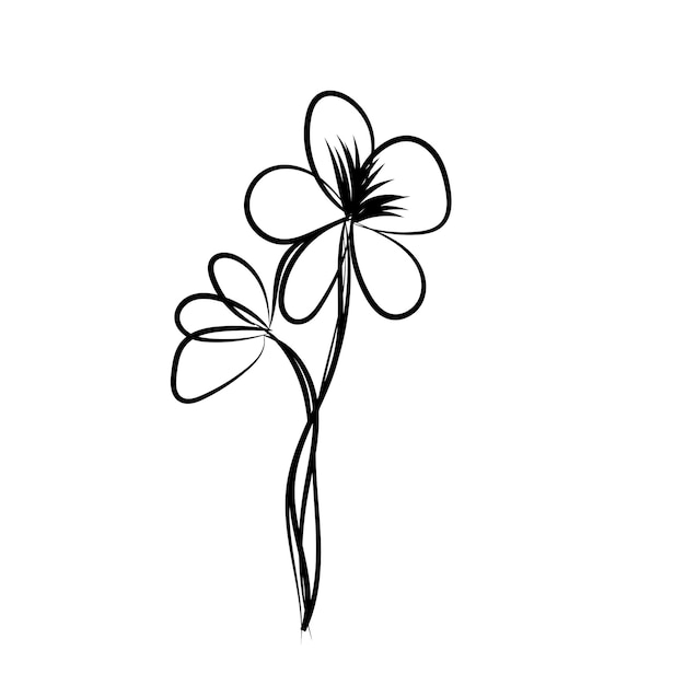 Conjunto de arte lineal de flores silvestres de doodle de hojas botánicas