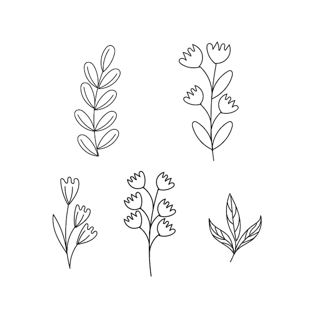 Conjunto de arte lineal de flores silvestres de doodle de hojas botánicas