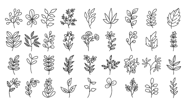 Conjunto de arte lineal de flores silvestres de doodle de hojas botánicas