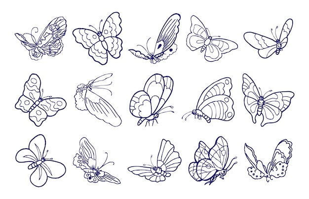 Conjunto de arte lineal de ilustración Diseño plano de mariposa