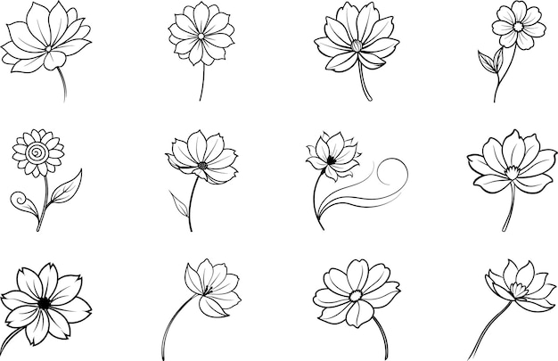 Conjunto de arte de líneas florales simples
