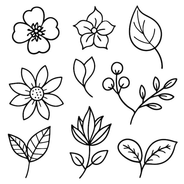 Un conjunto de arte vectorial de contorno de ramas de hojas florales dibujadas a mano