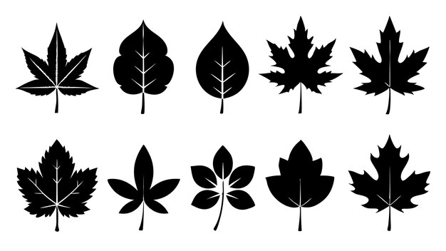 Un conjunto de arte vectorial de siluetas de hojas