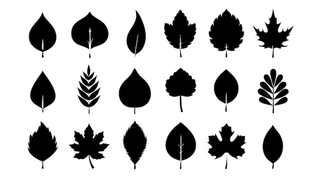 Un conjunto de arte vectorial de siluetas de hojas