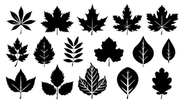 Un conjunto de arte vectorial de siluetas de hojas