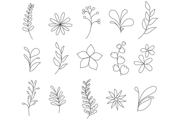 Conjunto de artes botánicas Línea de dibujo a mano de rama floral de flores abstractas Colección de plantas elementos herbales aislados vector vintage conjunto de garabatos para tarjetas invitaciones logotipo