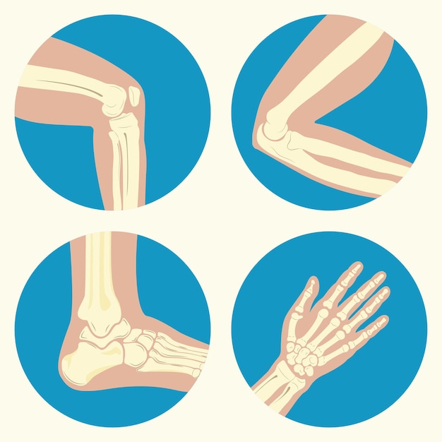 Conjunto de articulaciones humanas rodilla articulación codo articulación tobillo articulación muñeca emblema o signo de centro de diagnóstico médico o clínica vector de diseño plano