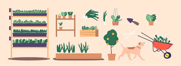 El conjunto de artículos de invernadero incluye herramientas como una carretilla, tijeras de jardinería, tierra para macetas y plantas en el estante, ideal para cuidar plantas de interior y espacios pequeños de jardín, ilustración vectorial de dibujos animados