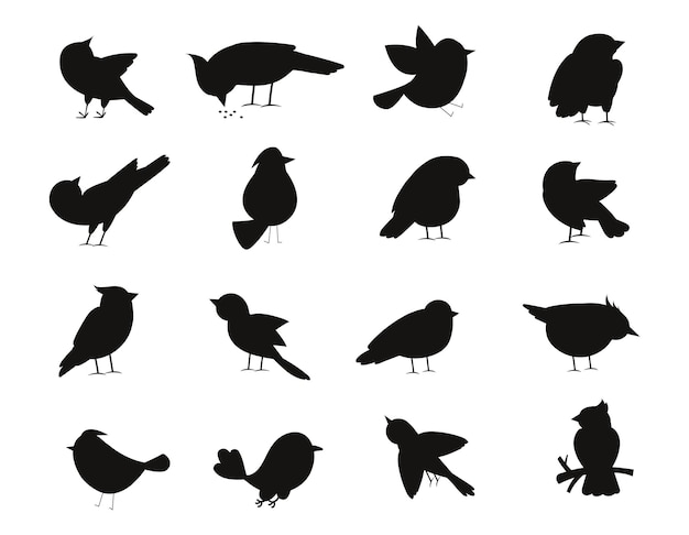 conjunto, de, aves, aislado, vector, siluetas