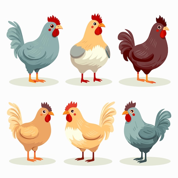Conjunto de aves de corral de granja de pollo Ilustración vectorial de dibujos animados de gallinas