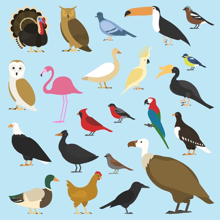 Vector conjunto de aves domésticas y animales tropicales buitres leonados cacatúa loro rinoceronte cálao toco tucán flamenco y especies extintas moa dodo y pluma
