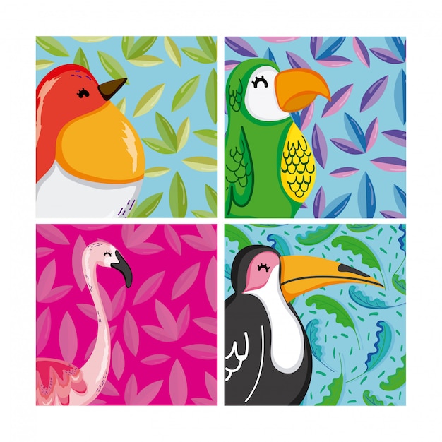 Conjunto de aves exóticas.